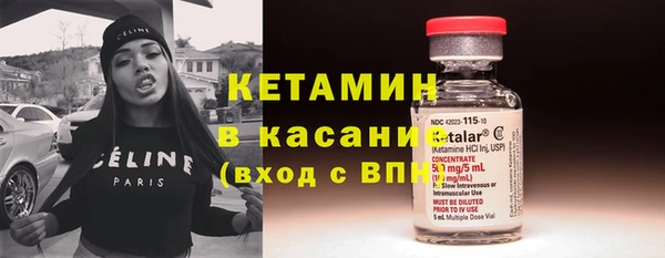 сатива Арсеньев