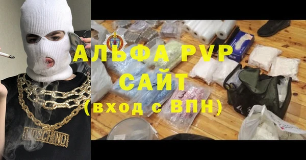 сатива Арсеньев